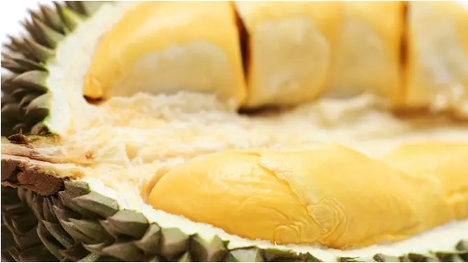 Courtesy ShutterStock.com