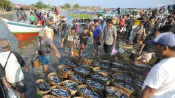 Para nelayan sibuk menurunkan ikan hasil tangkapannya di Tempat Pelelangan Ikan (TPI) Palangpang, Ciletuh, Sukabumi, Jawa Barat, (23/9). Ikan hasil tangkapan yang diturunkan di TPI Palangpang selanjutnya dibawa ke Pelabuhan Ratu. (Merdeka.com/Arie Basuki)
