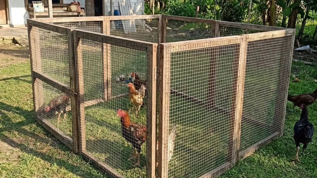 Kandang kawat Umbaran Lipat