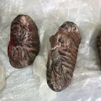 empat anak harimau ditemukan dalam keadaan membeku untuk dijadikan lem (foto : dailymail.co.uk)