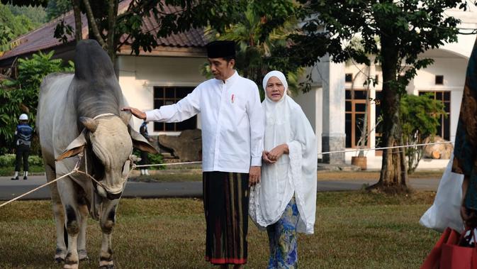 Jokowi Serahkan Sapi Ongole 1 Ton ke Kebun Raya Bogor (Liputan6/Lizsa Egeham)