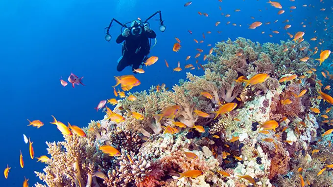 Wakatobi, 'Savana Koral' di Selatan Garis Khatulistiwa