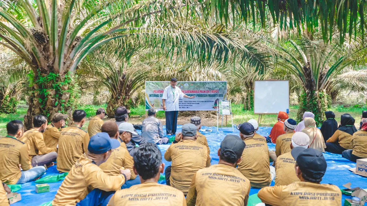 Pelatihan petani sawit dalam mengelola kebun ramah lingkungan untuk sertifikasi internasional.