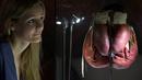 Sarung tinju Muhammad Ali yang digunakan saat melawan Henry Cooper tahun 1963 dipajang jelang pameran perjalanan hidup Muhammad Ali dengan judul "I Am The Greatest" di O2 Arena, London, Inggris, (3/3/2016). (AFP/Justin Tallis)