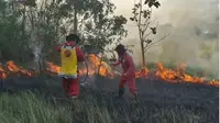 Kebakaran hutan di Konawe Selatan, mengakibatkan kabut asap dan lahan  terbakar seluas 6 hektar.(Liputan6.com/Ahmad Akbar Fua)