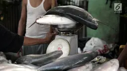 Pedagang menimbang ikan bandeng dagangannya di kawasan Rawa Belong, Jakarta, Rabu (14/2). Rata-rata bandeng yang dijual berukuran dua hingga lima kilogram per ekor. (Liputan6.com/Arya Manggala)