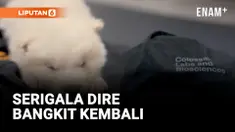SERIGALA PURBA DIRE YANG PUNAH DARI 10.000 TAHUN LALU BANGKIT KEMBALI