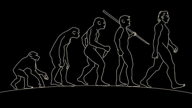 Evolusi Manusia via Pixabay / laurencerouault
