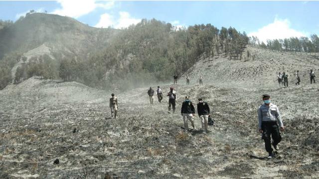 Kebakaran di Gunung Bromo