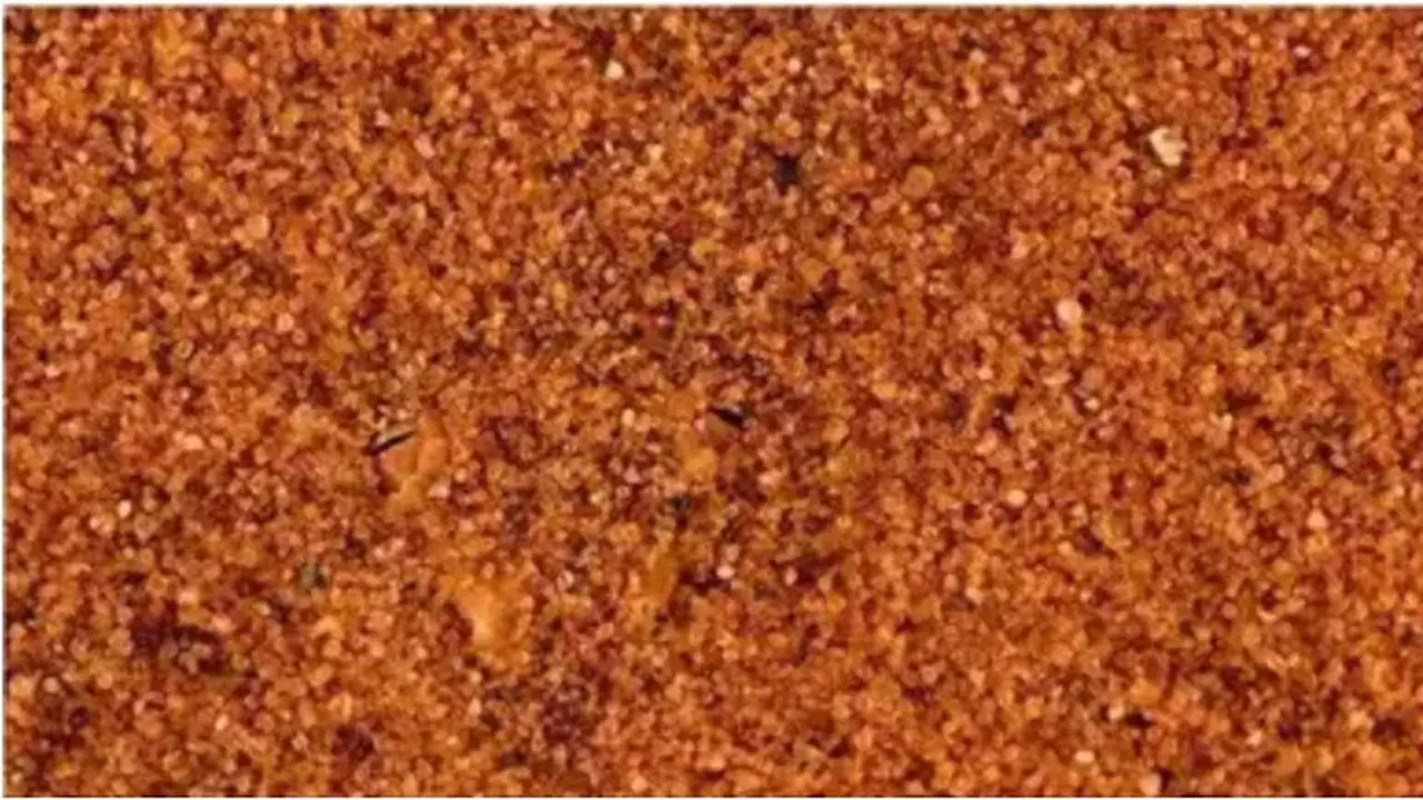 Uji Ketajaman Mata dalam 5 Detik, Temukan Ular yang Tersamar dalam Ilusi Optik Ini