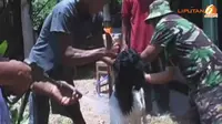 [VIDEO] Gaet Pembeli, Jasa Penitipan Hewan Kurban Digratiskan