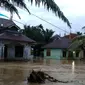 Banjir di Pesisir selatan, 18 Mei 2021. (Liputan6.com/ ist)