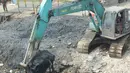Alat berat mengangkat material endapan lumpur di Kampung Nelayan Cilincing, Jakarta Utara, Kamis (2/9/2021). Pengerukan dilakukan untuk mengurangi pendangkalan di muara teluk Jakarta serta penataan sandaran kapal-kapal tradisional. (merdeka.com/Imam Buhori)