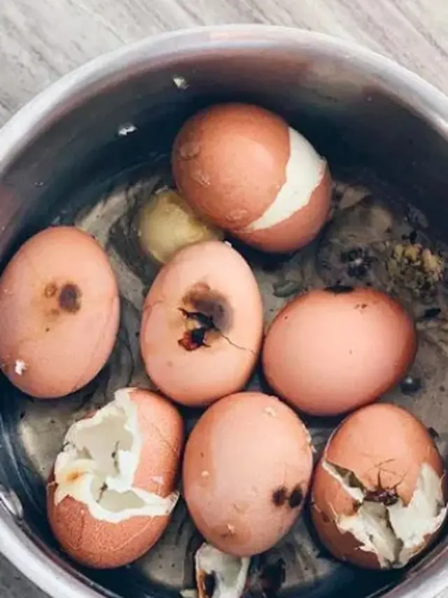 Potret Masakan Ibu yang Gagal, (sumber: buzzfeed.com)