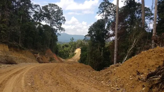 Kementerian PUPR terus melanjutkan pembangunan jalan paralel perbatasan di Kalimantan. (Maul/Liputan6.com)