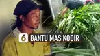 Terlihat beberapa orang membawa rumput untuk pakan sapi yang ditinggalkan Mas Kodir syuting di Ibu Kota.