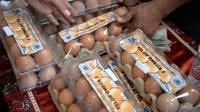 Jurusan Peternakan UNG Kembangkan telur omega 3. Foto: Humas UNG Gorontalo.