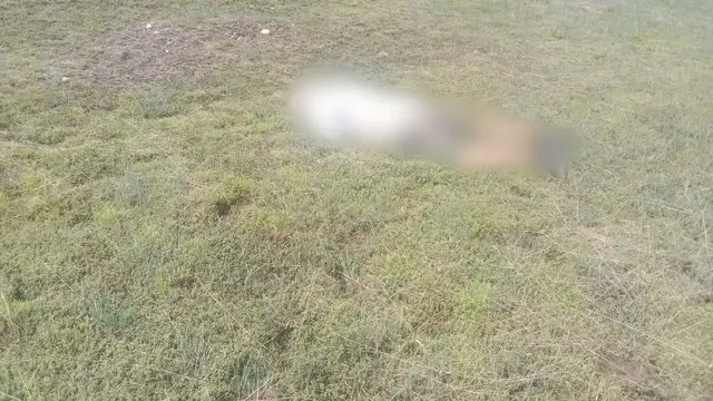 jenazah pilot dan co p[ilot pesawat smart air yang ditembak di Boven Digoel Papua