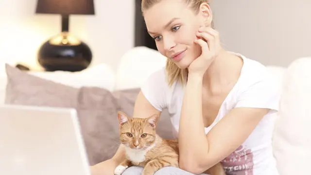 Foto: copyright thinkstockphotos.com