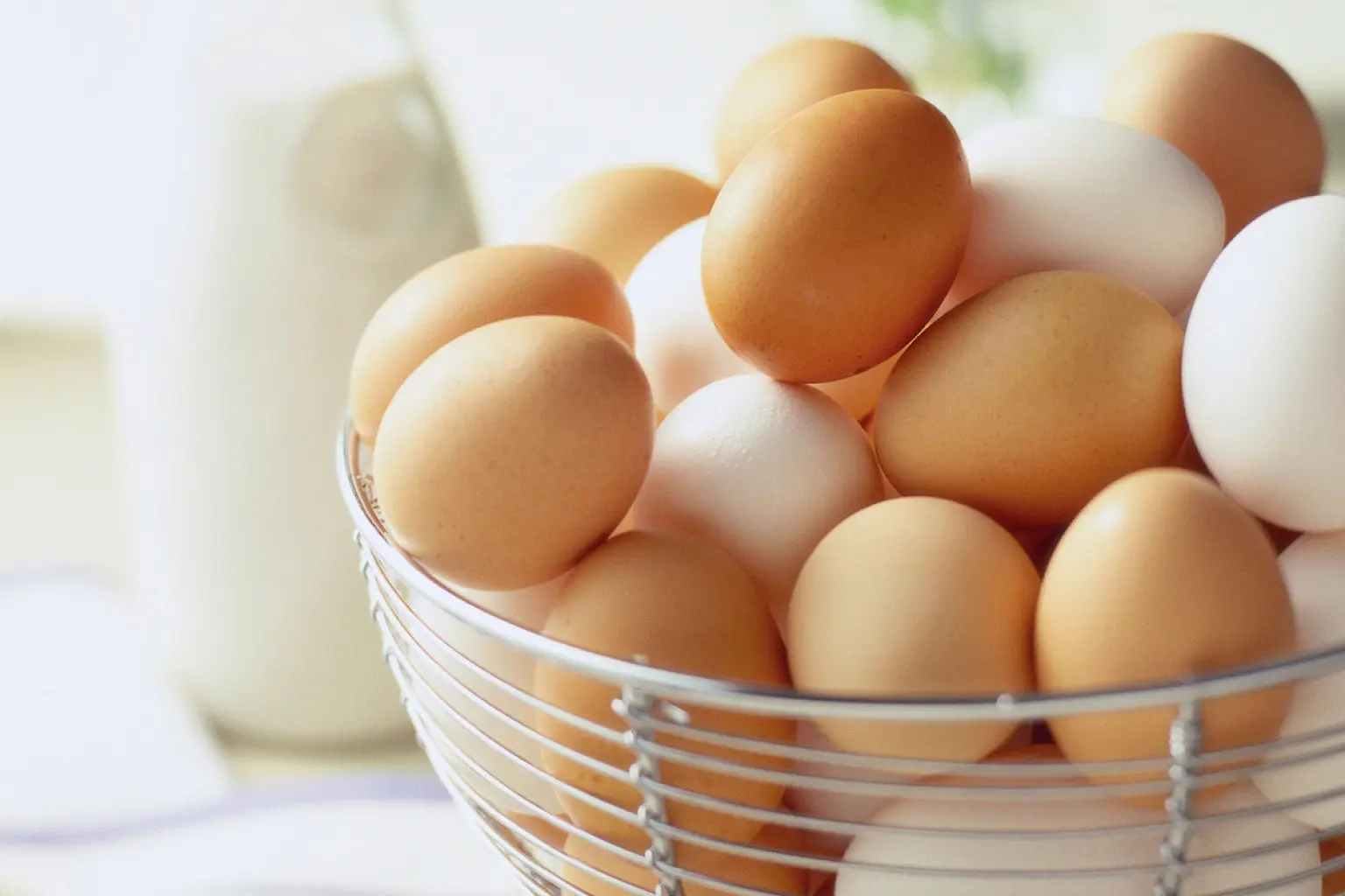 Berbahaya, sebaiknya kamu nggak mencuci telur sebelum disimpan. Simak alasannya di sini! (Sumber Foto: Alamy/Huffington Post)