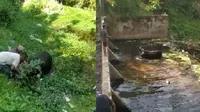 Video sapi kabur ke sungai saat hendak disembelih viral di media sosial. Peristiwa itu terjadi di Dukuh Pelem, Kelurahan Jepon, Kabupaten Blora, Selasa (20/7/2021). (Liputan6.com/ Ahmad Adirin)