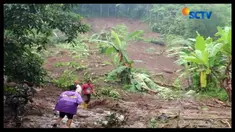 Longsor menimbun dua rumah warga di Dusun Ngroto, Desa Pendoworejo, Kabupaten Kulonprogo, Daerah Istimewa Yogyakarta, Rabu (29/11) pagi.