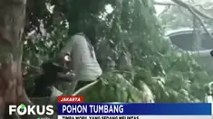 Warga langsung bergotong royong memindahkan dahan dan ranting pohon yang menutupi badan mobil agar mobil bisa dievakuasi.