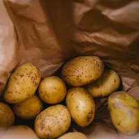 ilustrasi resep kentang mustofa/Phil Hearing/unsplash