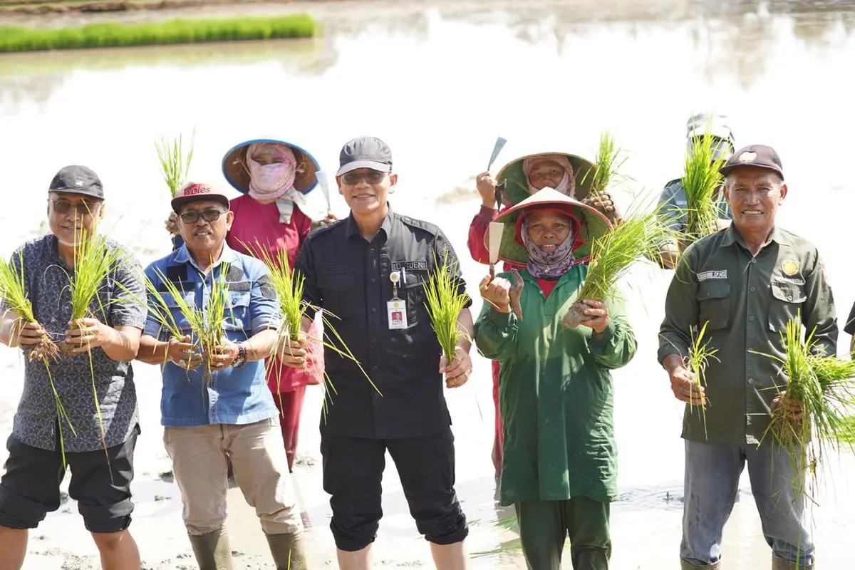 Percepatan Tanam dan Antisipasi Banjir di Banyuasin, Kementan Optimasi Lahan Rawa Mineral
