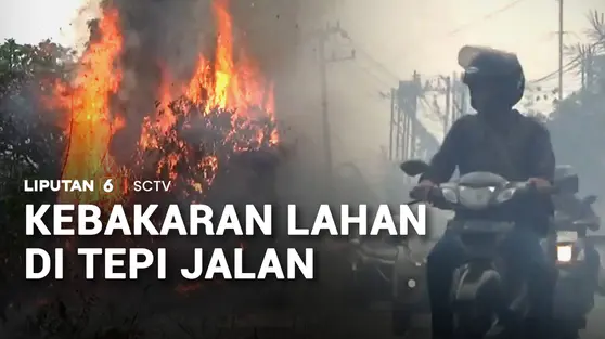 Kebakaran Lahan di Tepi Jalan