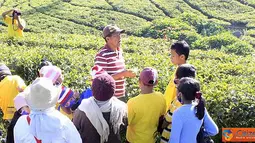 Citizen6, Jakarta: Anak-anak APMA mendengarkan penjelasan dari pemandu saat melakukan tea walk, berkeliling kebun teh. Selama berkeliling pemandu menjelaskan proses penanaman teh, bagaimana pemetikan dilakukan. (Pengirim: Julie Indahrini).