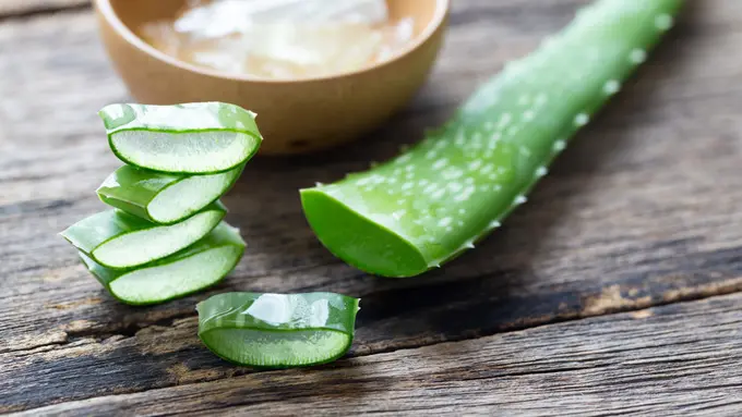 Cara Memakai dan Manfaat dari Lidah Buaya untuk Kecantikan Kulit Wajah