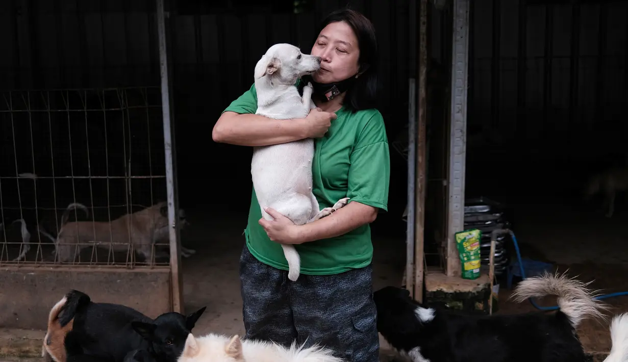 Susana Somali membawa seekor anjing yang disebut 'Putih' di Pejaten Shelter, rumah bagi lebih dari 1.400 anjing yang ia pelihara, di Jakarta, Kamis (2/7/2020). Jumlah anjing di penampungan telah meningkat sejak wabah COVID-19 dimulai di Indonesia. (AP Photo/Dita Alangkara)