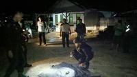 Polisi amankan granat nanas yang ditemukan diareal tambang. Foto: (M Syukur/Liputan6.com)