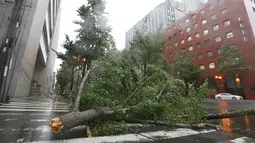 Pohon besar tumbang akibat angin topan jebi di jalan Midosuji di Osaka, (4/9). Topan Jebi yang melanda Jepang kali ini merupakan yang terkuat selama 25 tahun terakhir. (AFP Photo/Jiji Press)