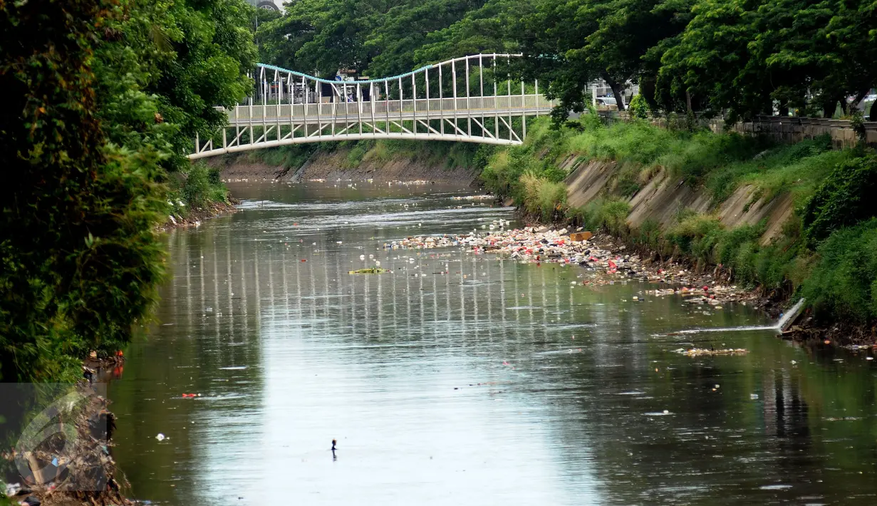 Ceceran sampah menumpuk di pinggir Kali Ciliwung di sisi jalan Menteng Tenggulun, Jakarta, Kamis (22/12). Turunnya debit air Kali Ciliwung membuat ceceran sampah tersangkut. (Liputan6.com/Helmi Fithriansyah)