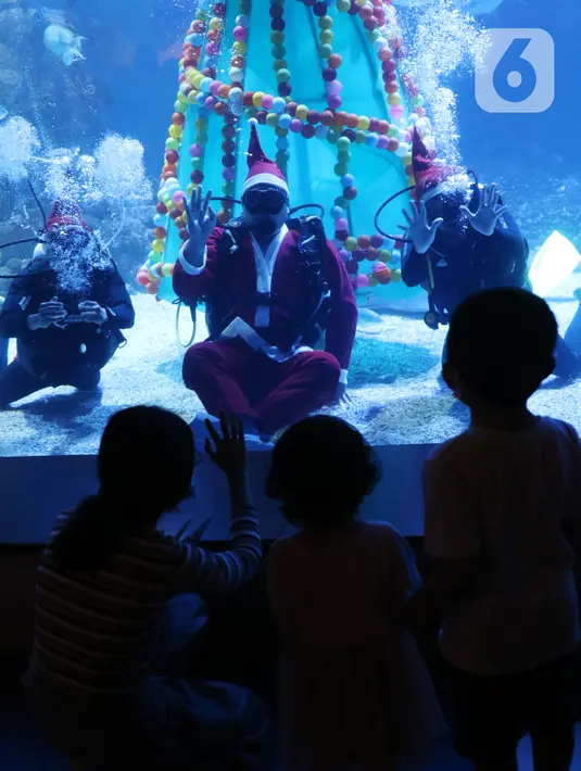 Angga Yuniar)
Anak-anak menyaksikan penyelam berkostum sinterklas di dalam air yang dihiasi pohon natal di Jakarta Aquarium dan Safari, Mal Neo Soho, Grogol, Jakarta, Kamias (24/12/2020). Pertunjukan tersebut untuk mengisi libur Natal dan Tahun Baru 2021. (Liputan6.com/Angga Yuniar)