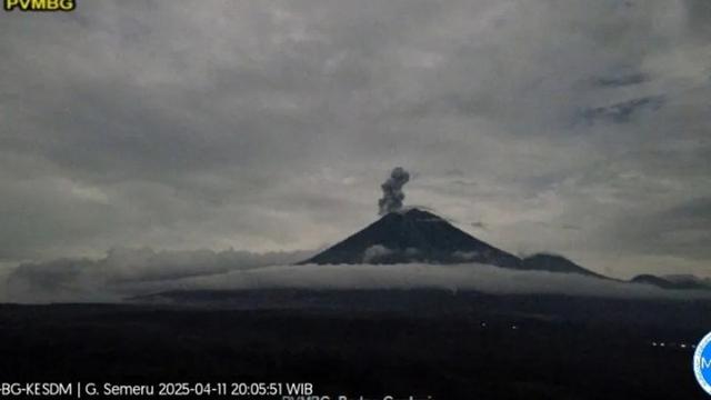 Gunung Semeru Erupsi Lagi tinggi letusan capai 800 Meter (Istimewa)