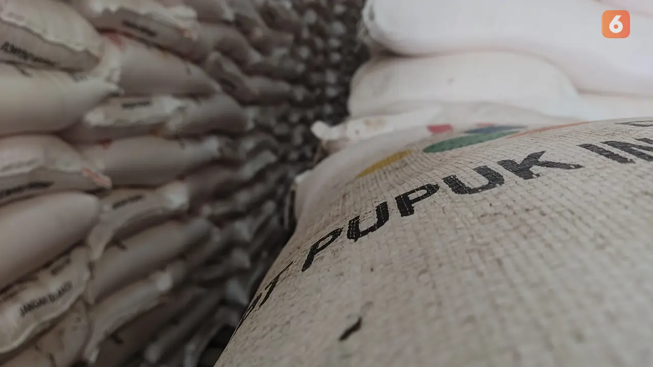 Pupuk bersubsidi (Liputan6.com/Fauzan)