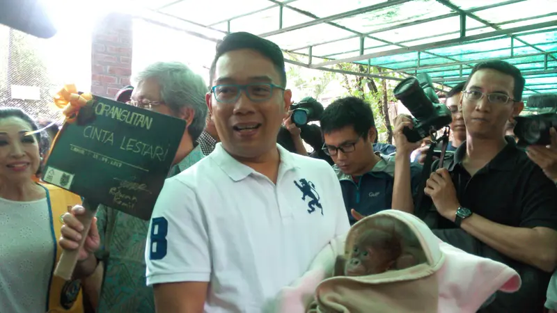 Bila Ridwan Kamil Timang-Timang Sayang Cinta Lestari