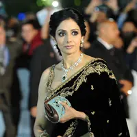 Sridevi. (Jag Gundu / GETTY IMAGES NORTH AMERICA / AFP)