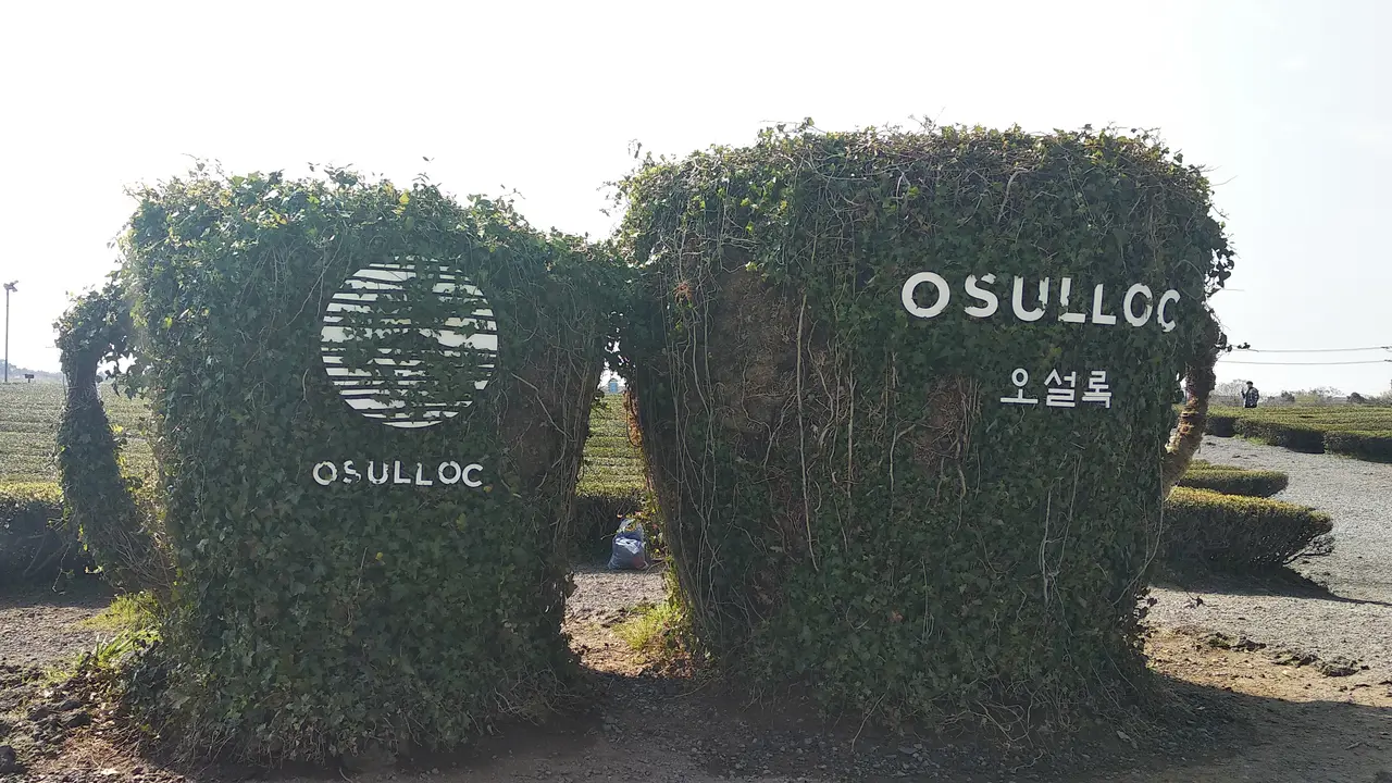 Osulloc