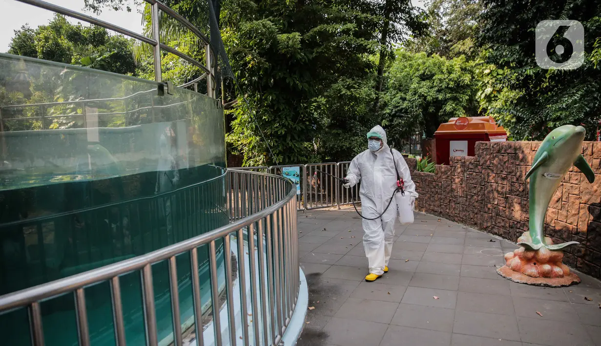 Petugas menyemprotkan disinfektan area Sea World, Ancol, Jakarta, Sabtu (14/3/2020).  Taman Impian Jaya Ancol ditutup sementara. Hal ini sesuai Instruksi Gubernur DKI Jakarta Nomor 16 Tahun 2020 Tentang Peningkatan Kewaspadaan Terhadap Risiko Penularan COVID-19. (Liputan6.com/Faizal Fanani)