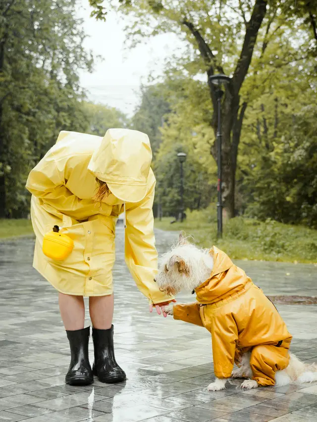 Ilustrasi Jas Hujan//copyright pexels/Yaroslav Shuraev