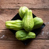 ilustrasi labu siam/copyright by Regreto (Shutterstock)