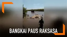 Sejumlah nelayan menemukan bangkai ikan paus raksasa sepanjang 10 meter. Bangkai tersebut kemudian dikubur di sekitar kuil untuk disembah.