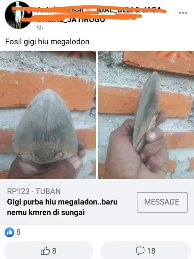 6 Barang Aneh yang Dijual di Facebook, di Luar Nalar