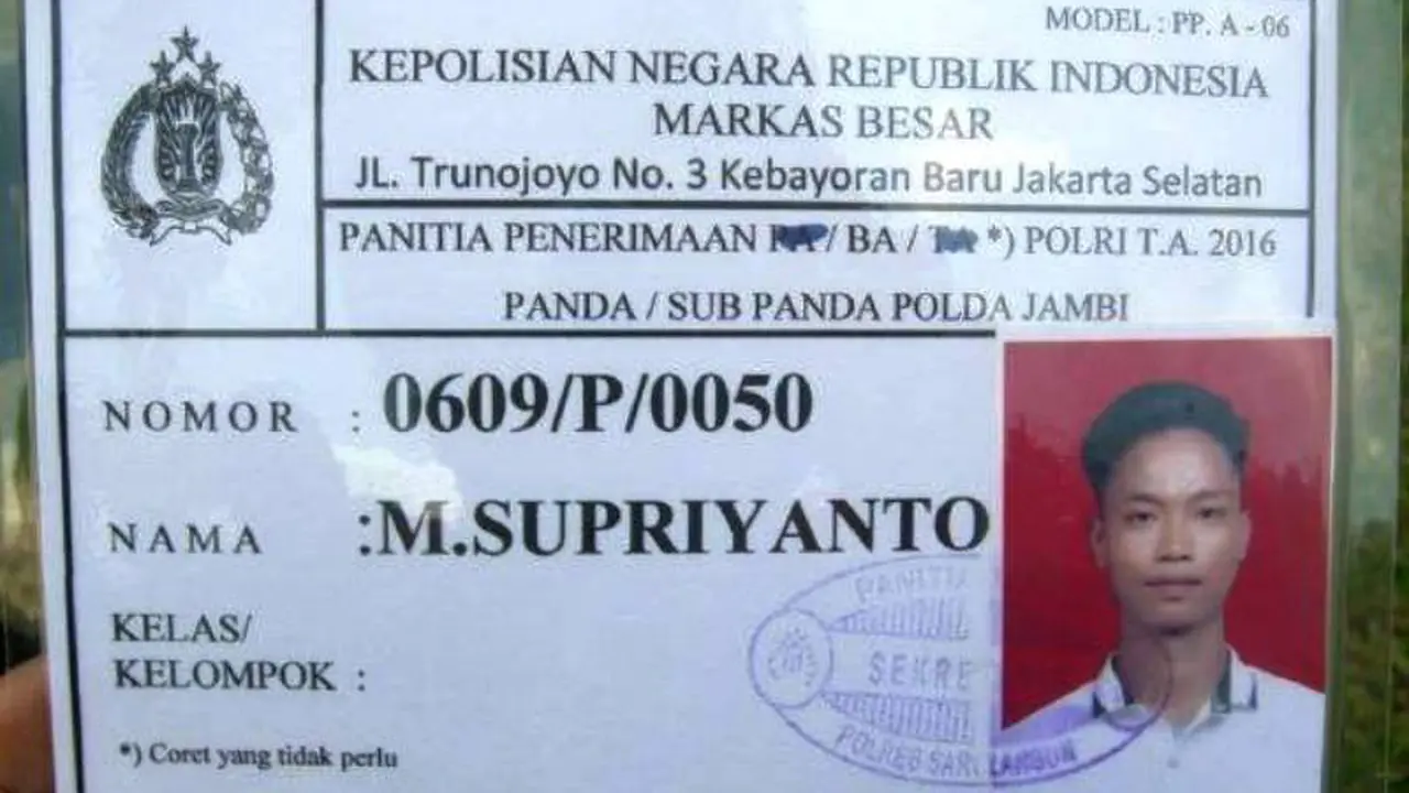 Anak Rimba
