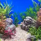 aquascape (sumber: freepik)