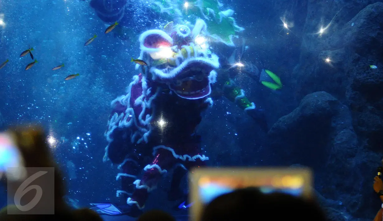 Salah satu atraksi barongsai di dalam kolam SeaWorld, Ancol, Jakarta, Sabtu (28/1). Atraksi barongsai ini untuk memeriahkan perayaan Tahun Baru Imlek 2568. (Liputan6.com/Helmi Fithriansyah)